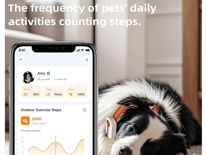 the frequency of pets' daily activities counting steps