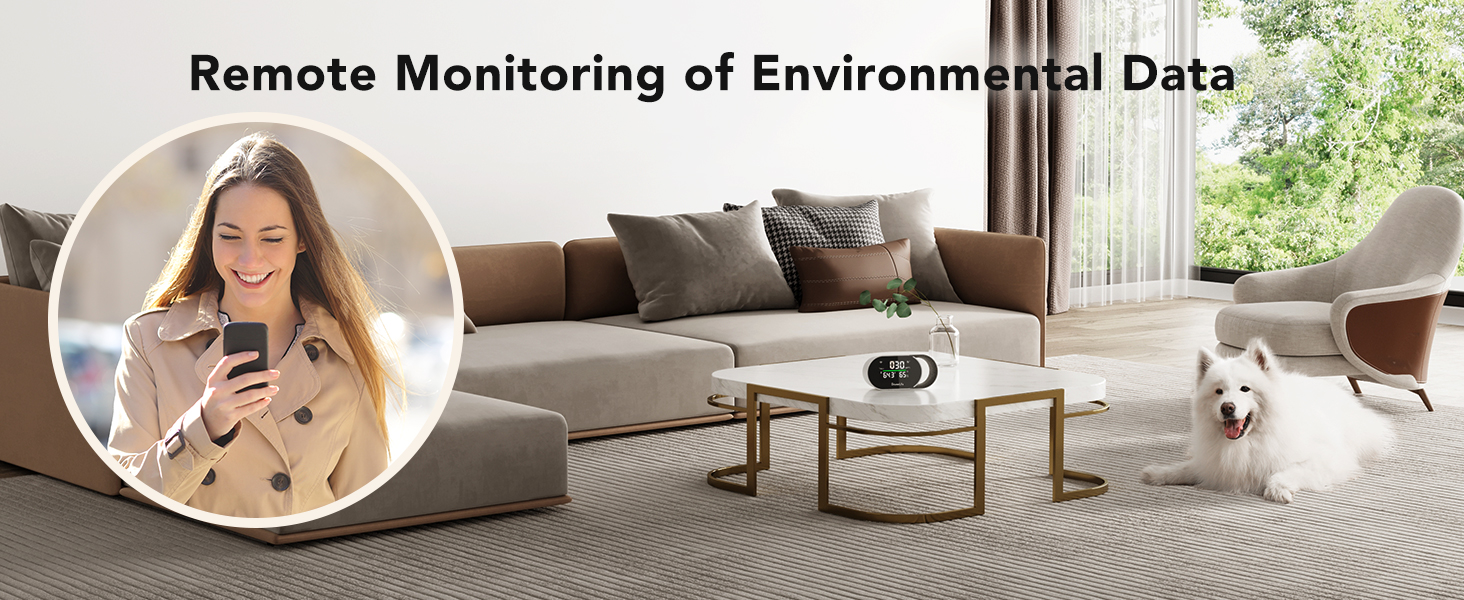 Remote Monitoring of Environment Data