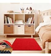 Ehayx Red Rugs for Bedroom, 2x3 Soft Fluffy Small Area Rug for Living Room, Shag Bedside Carpet f...