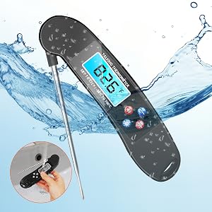 Digital Talking Thermometer