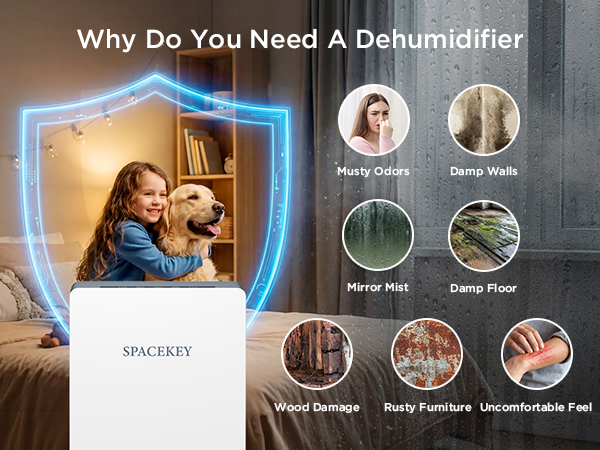 dehumidifiers for home
