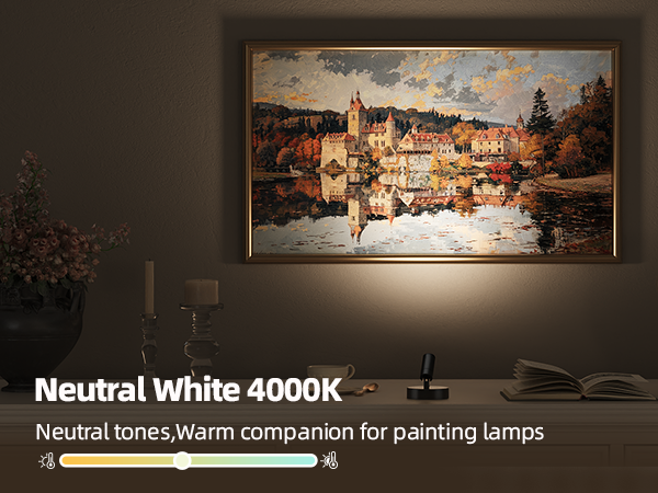 picture light