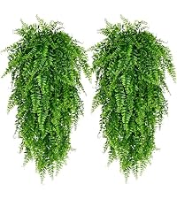 https://m.media-amazon.com/images/S/aplus-media-library-service-media/175212ae-4543-4d2f-b56c-4cd9203062cc.__AC_SR200,225___.jpg