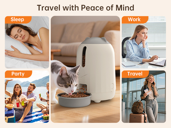 automatic pet feeder for cats