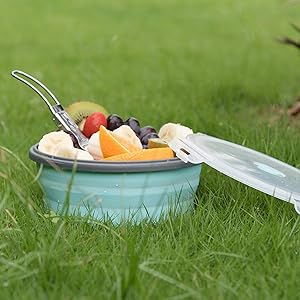 Silicone Bowl