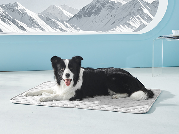 green pet cooling mat