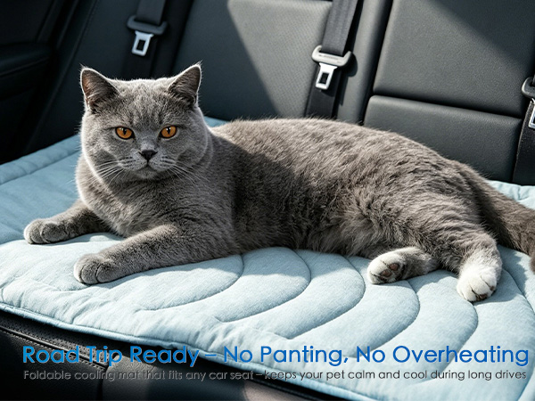 dog cooling mat