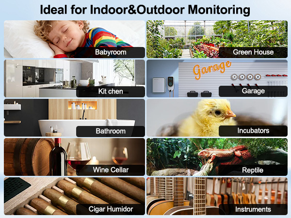 temperature monitor