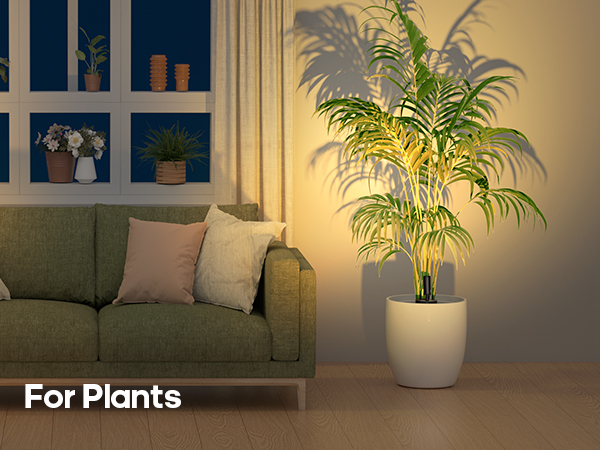 Plant Spotlights Indoor