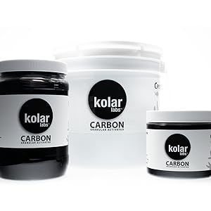 Carbon Family