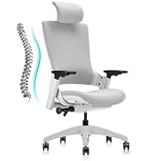 CLATINA Ergonomic High Swivel Executive Chair with Adjustable Height Head 3D Arm Rest Lumbar Supp...