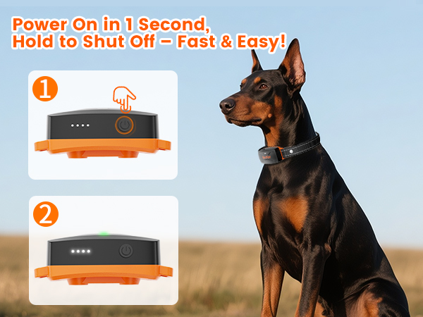 shock collar for dogs