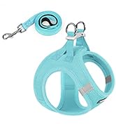 small dog harness
