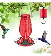 FEED GARDEN Glass Hummingbird Feeder for Outdoors Hanging, 20 OZ Humming Birds Feeders with 4 Bee...