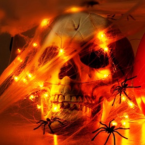 halloween fairy lights