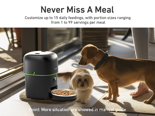 automatic cat feeder with camera