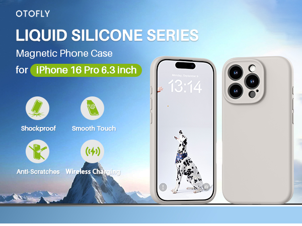 iphone 16 pro case