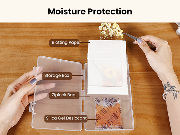Dried Flower Storage kit