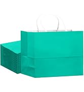 qiqee 24PCS Large Gift Bag with Handles Bulk 13