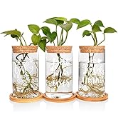 ANOTION Plant Propagation Glass Terrarium Set - Gifts for Mom Unique Mom Birthday Gifts Flower Po...