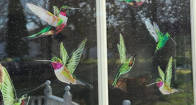 Outside View of Realistic multi-colored hummingbird window clings