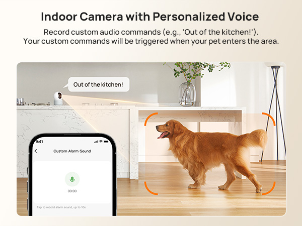 pet camera