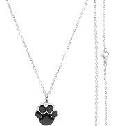 Toddmomy Pet Ashes Necklace Memorial Ashes Necklace Ash Necklace Pendant Urn Hanging Dog Paw Neck...