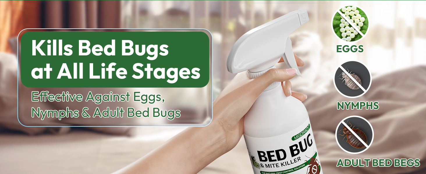 bed bug sprayer bed bug killer bed bug repellent pest sprayer insects sprayer lice repellent