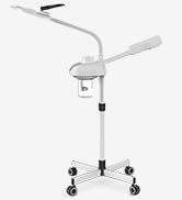 TASALON Professional Facial Steamer, 2 in 1 Facial Steamer with 5X Magnifying Foldable Arm, Ozone...