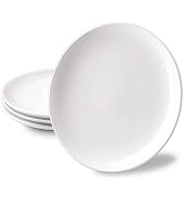 Delling 10 inch White Dinner Plates Set, Porcelain Dessert/Salad Plate, Serving Dishes, Dinnerwar...