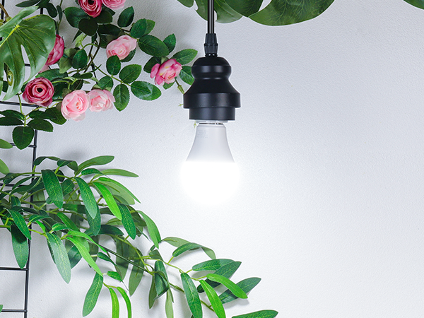 A19 LED Light Bulbs