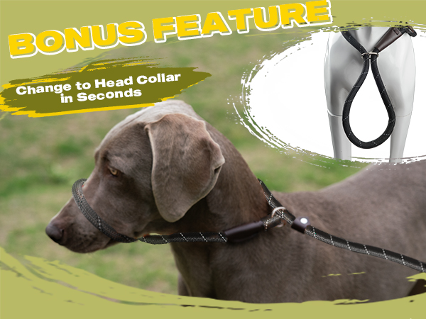 Slip Lead Dog Leash