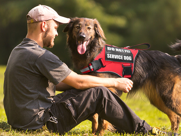 do not pet dog harness red