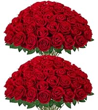 https://m.media-amazon.com/images/S/aplus-media-library-service-media/f573a0fd-4d97-433a-87e5-e4959aabcdd5.__AC_SR200,225___.jpg