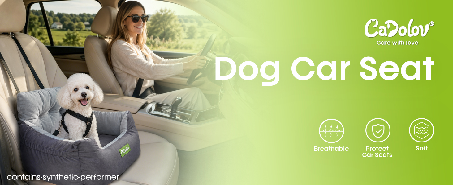 dog car seat