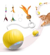 Interactive Cat Toys Ball - Electric Automatic Toys for Indoor Cats, LED Lights and Toys Feather ...
