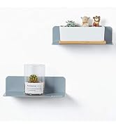 OAPRIRE Grey Acrylic Floating Shelves Set of 2 - Easily Expand Wall Space - Small Wall Shelf with...