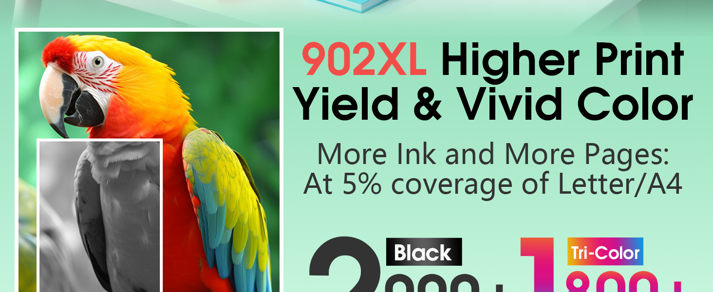 HP Ink 67 hp 67XL Black Tri-Color Combo Pack for HP Printers deskjet 2855e 2755e 2827e