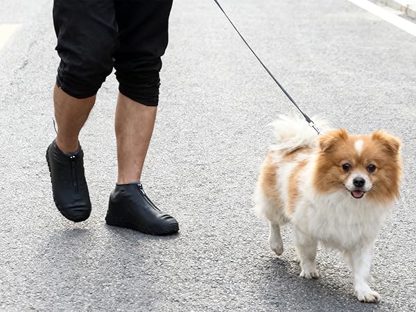 Walking the dog