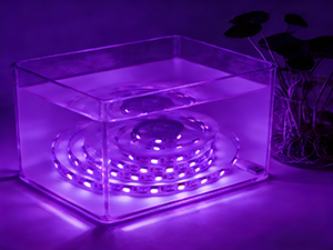 Waterproof light strip