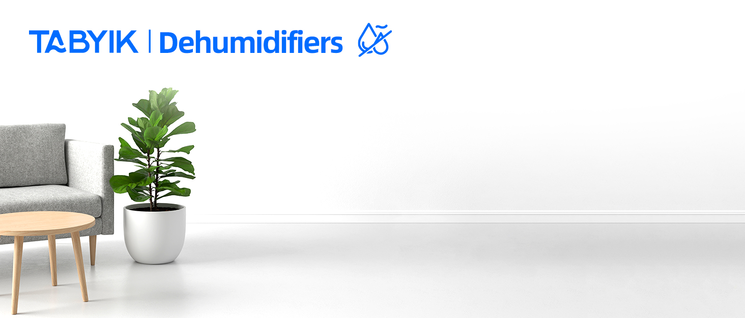 dehumidifiers for home