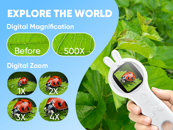 digital magnifying glass