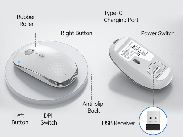 mouse