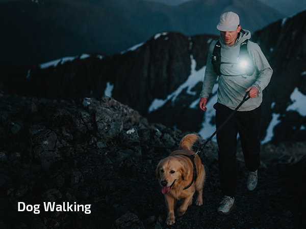 Dog Walking