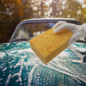 Car Washing Sponges