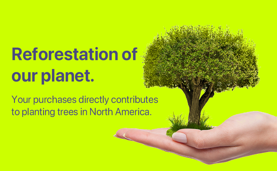 Reforestation of our planet