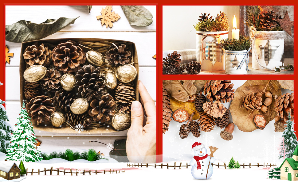 Pine Cones