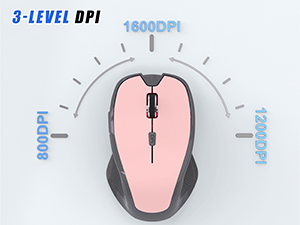 Adjustable 3-Level DPI