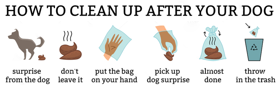 Dog Poo Bags