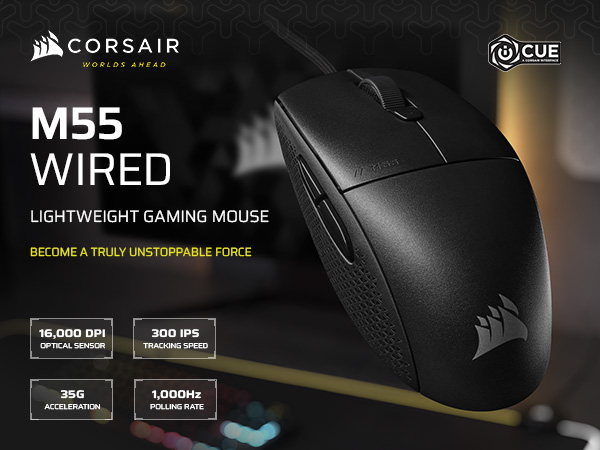 gaming mouse; lightweight mouse; symmetrical mouse; wired mouse